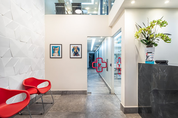 Dr Bichinho Clínica Veterinaria 24h