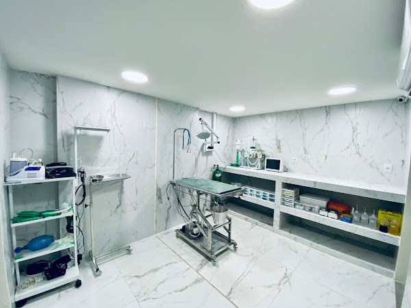 Foto 2 Dr Bichinho Clínica Veterinaria 24h