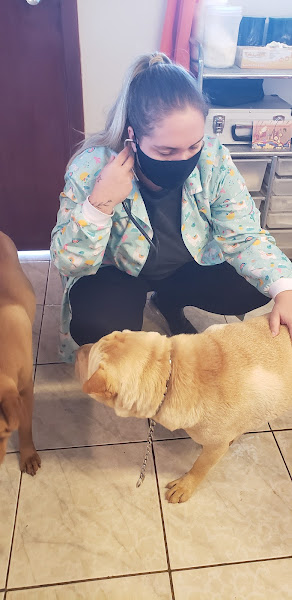 Foto 4 Veterinária MEDVET