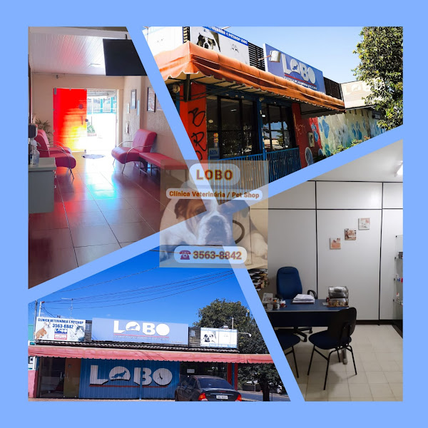 Foto 2 Clínica Veterinaria Lobo