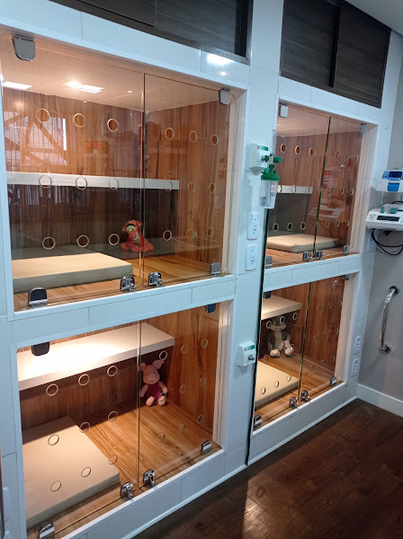 SIVET Suporte Intensivo Veterinário - Clínica Veterinária