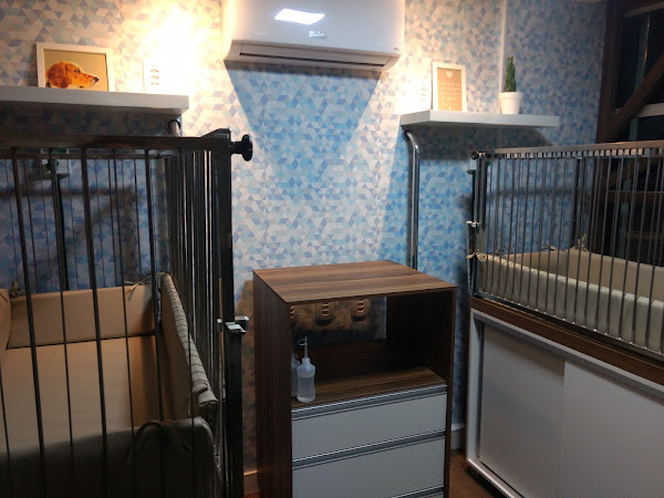 Foto 1 SIVET Suporte Intensivo Veterinário - Clínica Veterinária