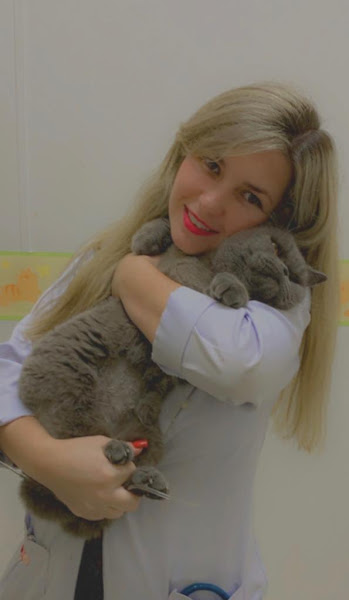 Medicina Veterinaria Aguas Claras