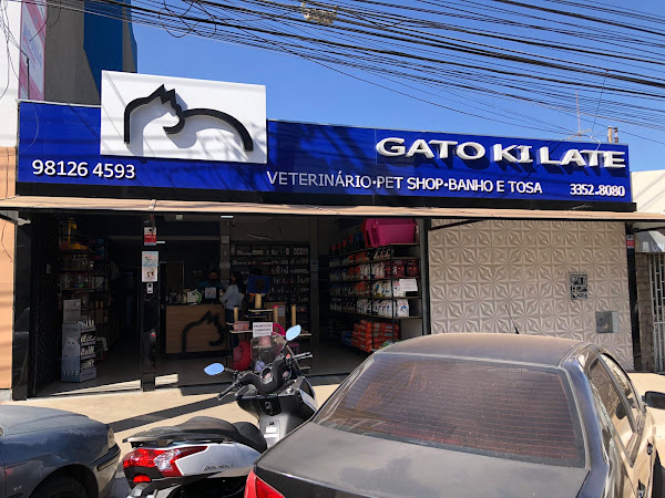 Gato Ki Late