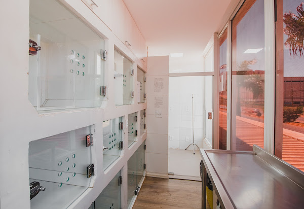 Foto 1 Hospital Veterinário Vitta Vet