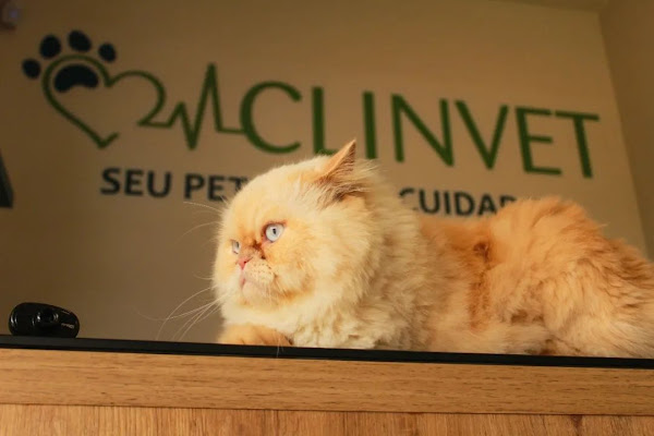 Clinvet Veterinária