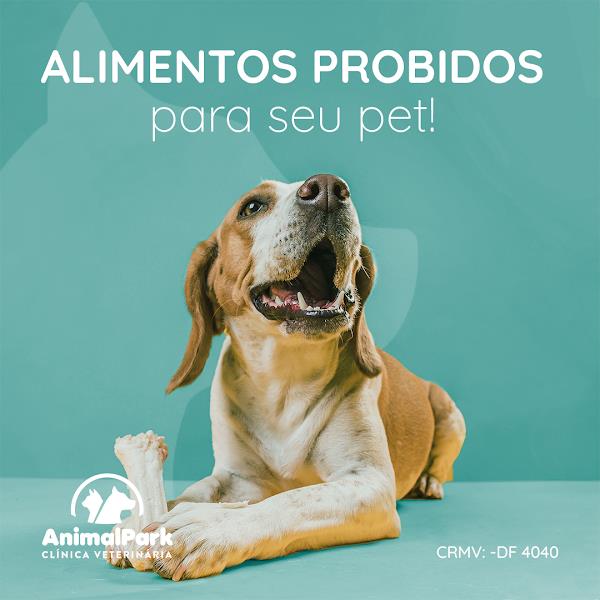 Foto 2 Animalpark clínica veterinária