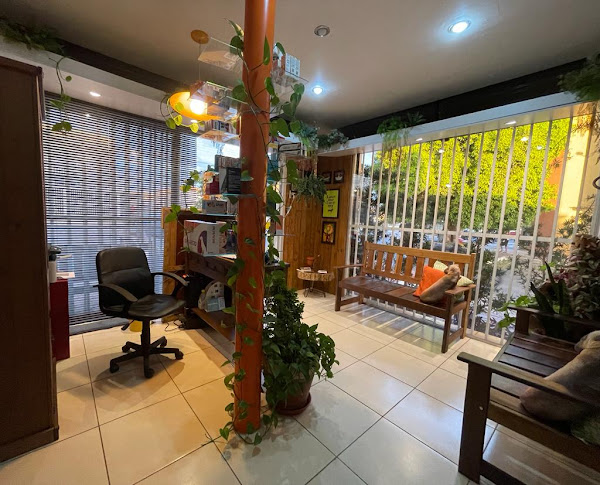 Clínica Veterinária Casa Dos Bichos