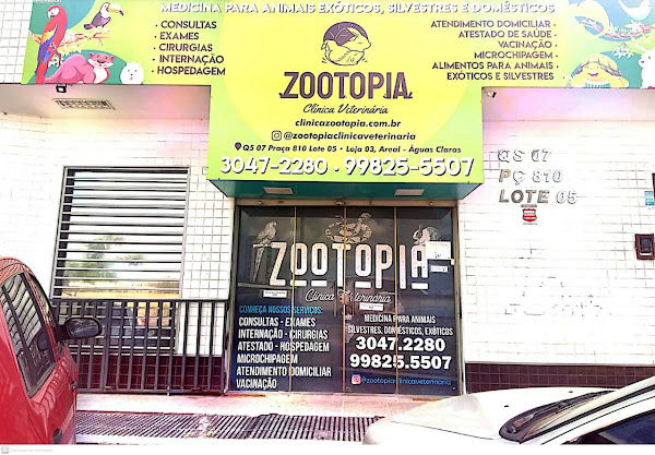 Zootopia Clínica Veterinária