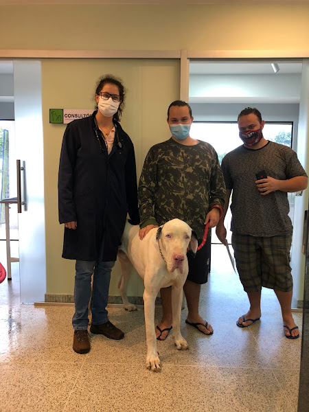 Foto 2 Estilo Pet Clínica Veterinária e Pet Shop