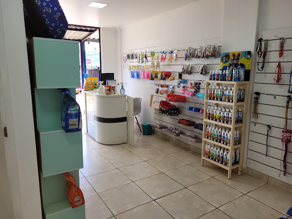 Clinica Veterinaria Pet Zoo