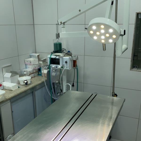 XAMÃ VETERINÁRIA SOBRADINHO XAMÃ VETERINÁRIA SOBRADINHO