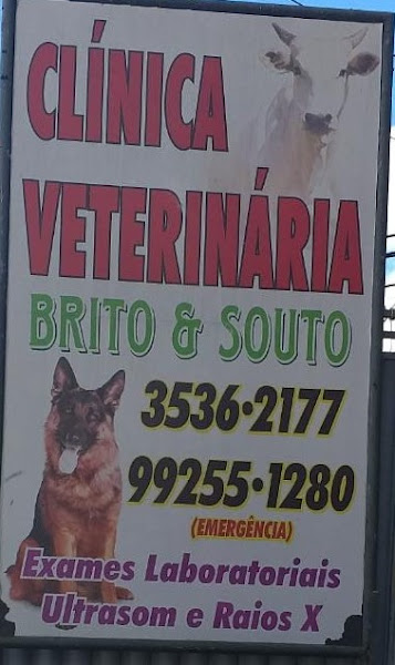 Clinica Veterinária Brito e Souto