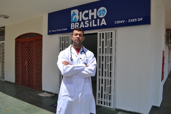 Clínica Veterinária Bicho Brasília