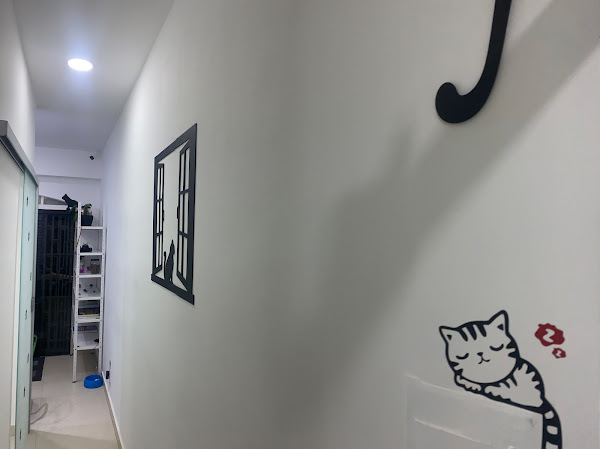 Foto 1 Clínica Veterinária Bicho Brasília