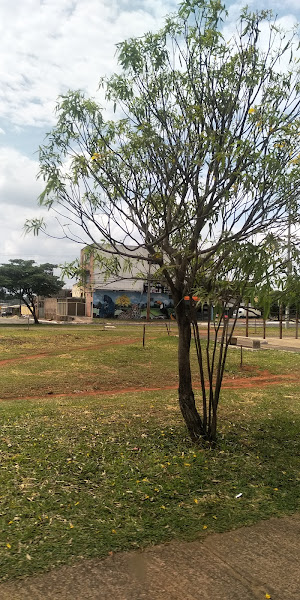 Espaço Dos Bichos Clinica Veterinaria