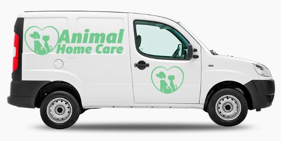 Foto 2 Veterinária Animal Home Care