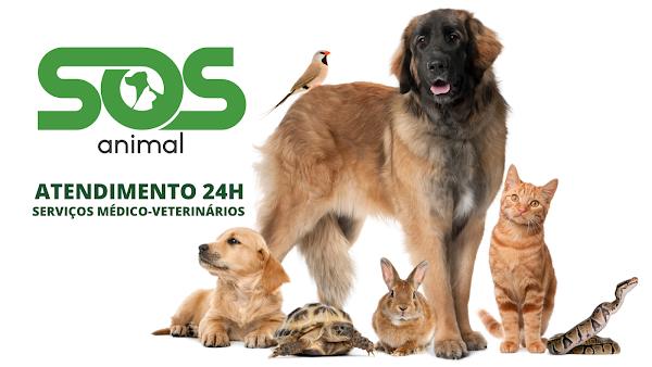 SOS Animal - Clínica Veterinária 24 horas Gama - DF