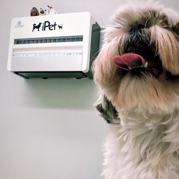 Foto 2 iPet Veterinária - Clínica Veterinária Gama-DF