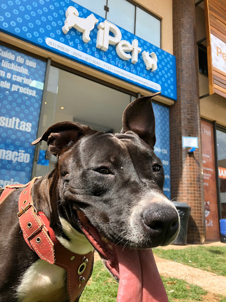 Foto 3 iPet Veterinária - Clínica Veterinária Gama-DF