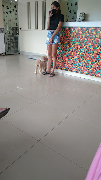 Foto 5 Clínica Veterinária Coração Peludinho