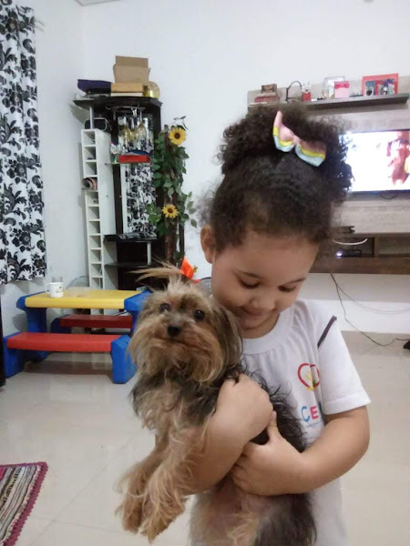 Foto 1 Doutor Juscelino veterinario e veterinaria