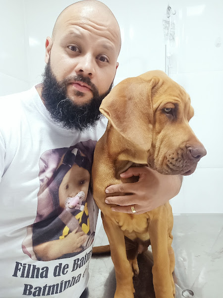 Foto 2 Bov & Dog - Clínica Veterinária