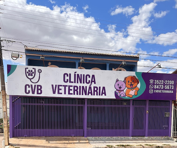 CVB Clínica Veterinária CVB Clínica Veterinária