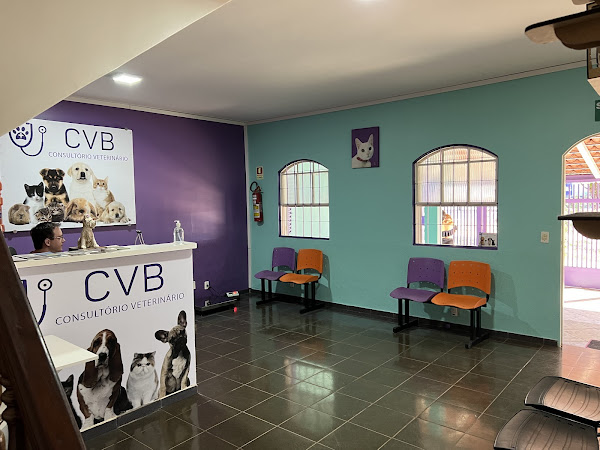 Foto 1 CVB Clínica Veterinária
