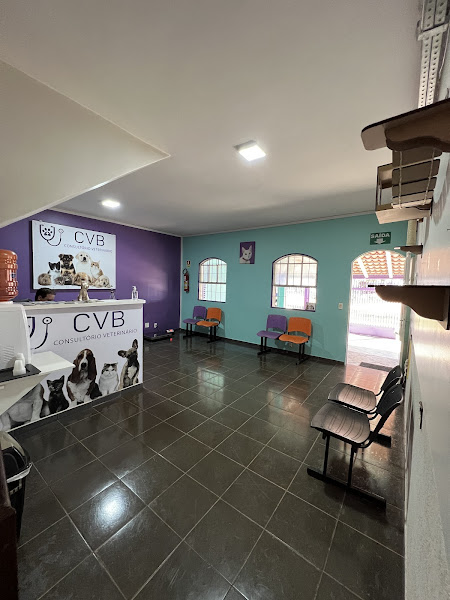 Foto 3 CVB Clínica Veterinária