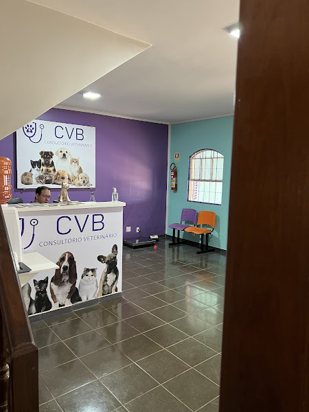 Foto 4 CVB Clínica Veterinária