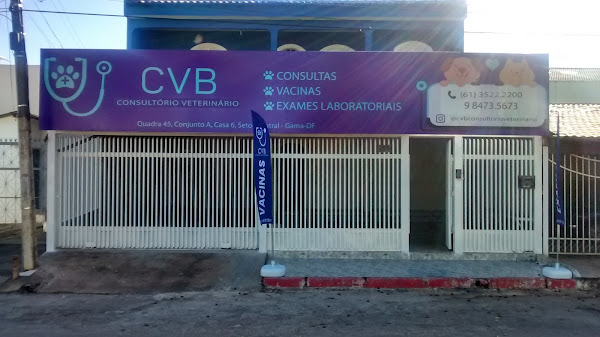 Foto 5 CVB Clínica Veterinária