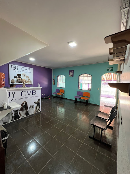 Foto 6 CVB Clínica Veterinária
