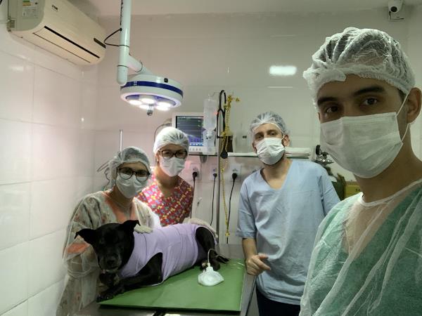 Foto 2 Hosp. Veterinário VetKeybull