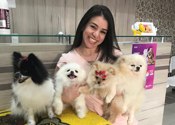 Bichos em Cena Bichos em Cena