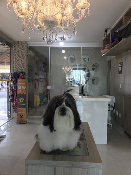 Foto 2 Bichos em Cena