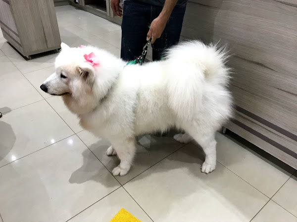 Foto 6 Bichos em Cena Foto 6 Bichos em Cena