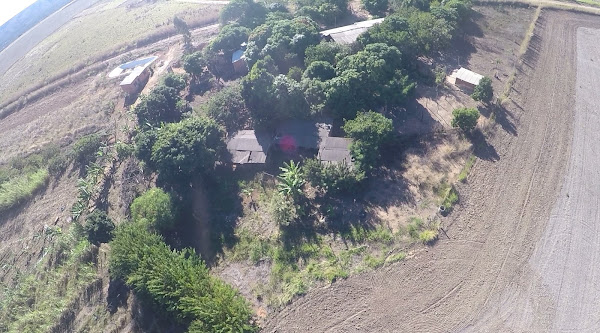 Snoopy Clínica Veterinária cinovet Snoopy Clínica Veterinária cinovet