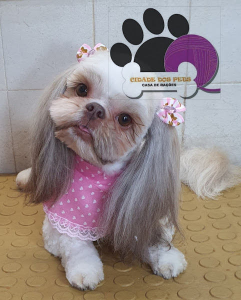 Foto 4 Cidade Dos Pets Casa De Rações / Banho e Tosa