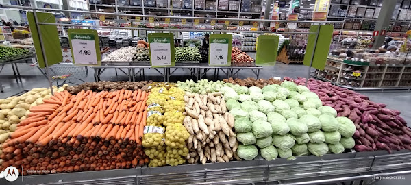 Galeria Extra Belvedere