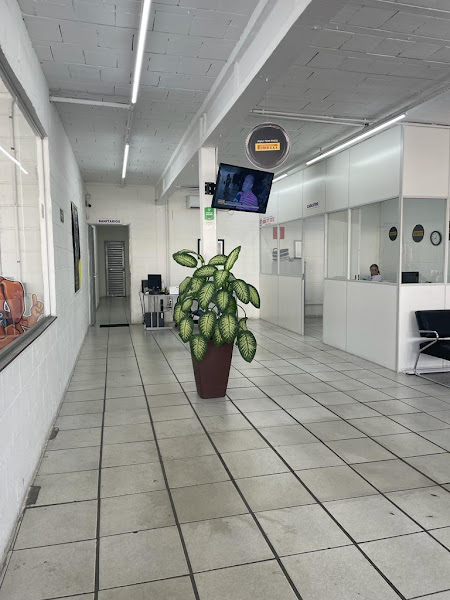 Foto 2 Bono Pneus BH Pampulha