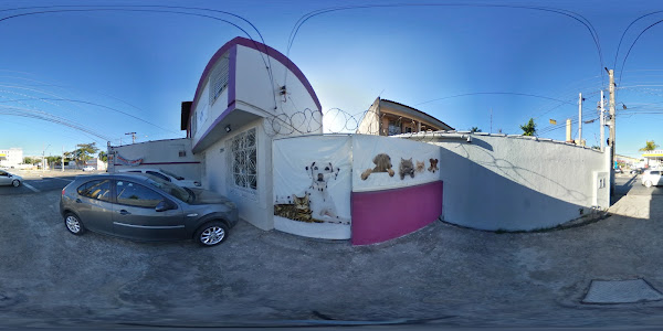 Clínica veterinária Clínica veterinária