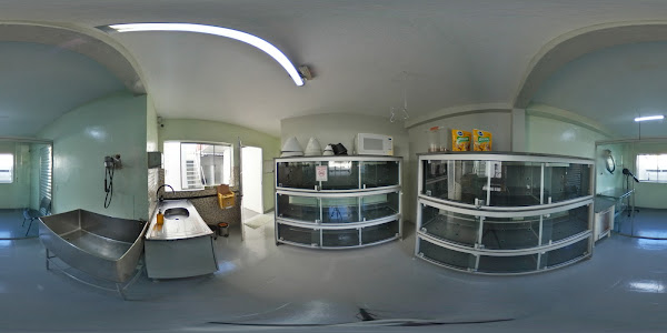 Foto 3 Clínica veterinária