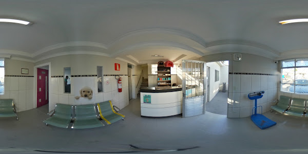 Foto 4 Clínica veterinária