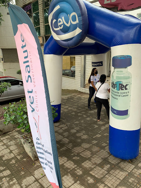 Foto 2 VetSalute Clínica Veterinária