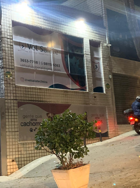Foto 3 VetSalute Clínica Veterinária