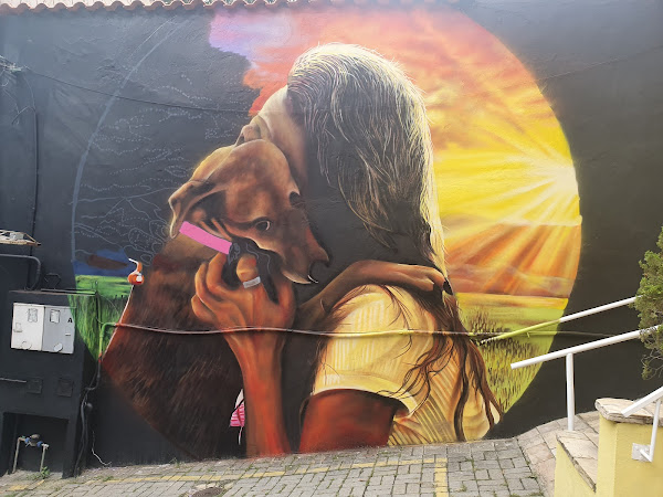 Foto 1 Vet Healing - Clínica Veterinária Integrativa em BH