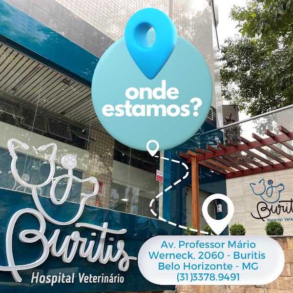 Foto 1 Buritis Hospital Veterinário