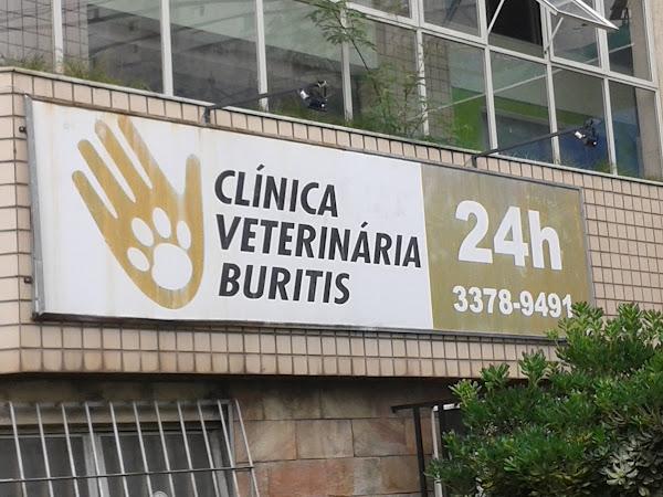 Foto 3 Buritis Hospital Veterinário