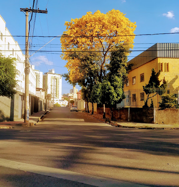 Foto 1 Clínica Veterinária Márcio Brasil